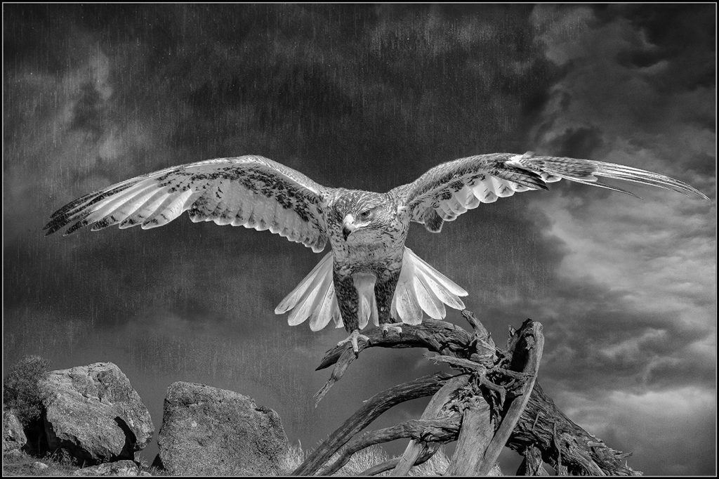 Escaping The Rain - Rudy Dierks